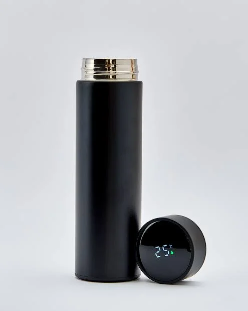 Termo Digital